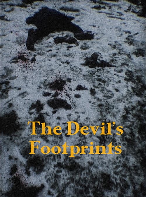 Постер: The Devil's Footprints