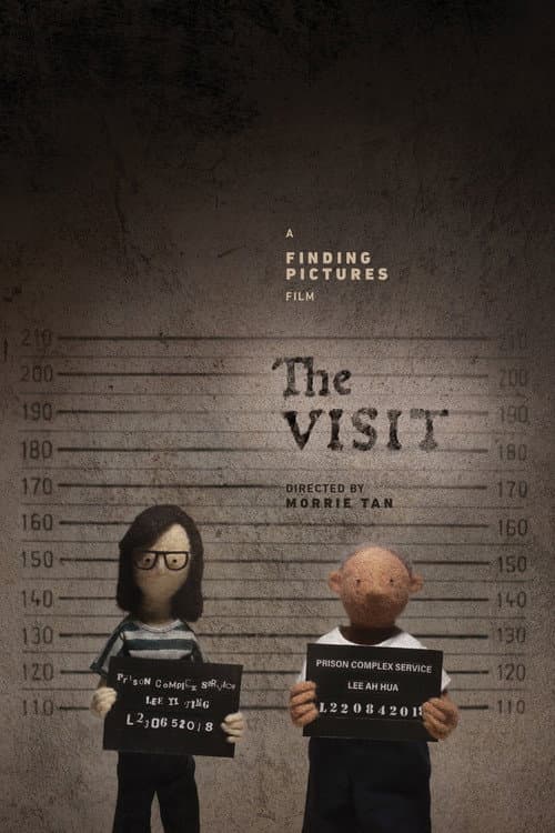 Постер: The Visit