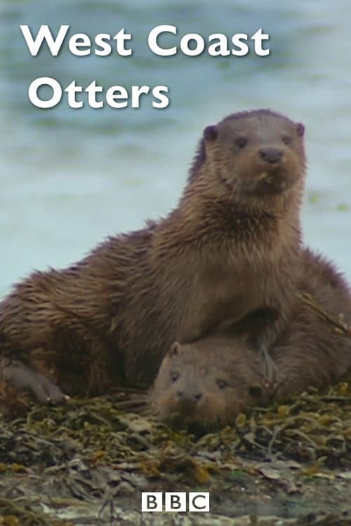 Постер: West Coast Otters