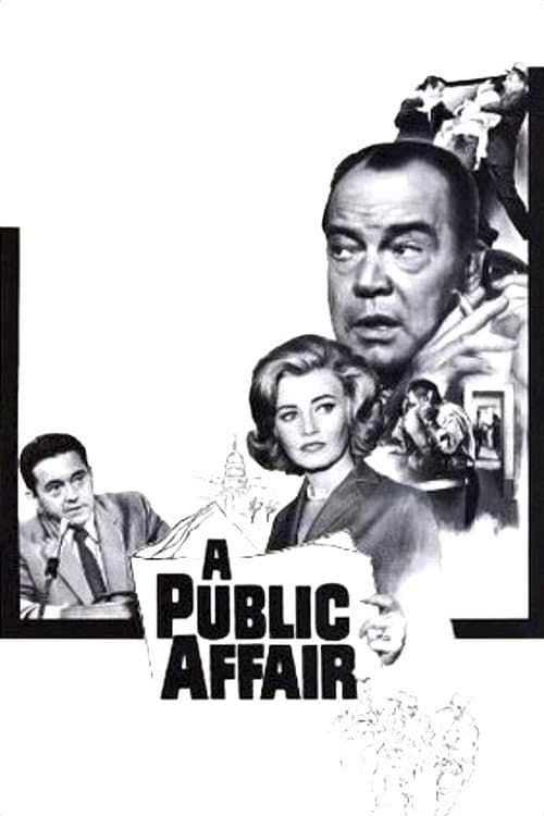 Постер: A Public Affair