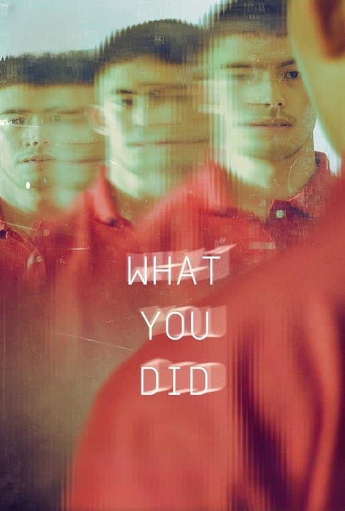 Постер: What You Did