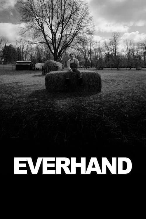Постер: Everhand