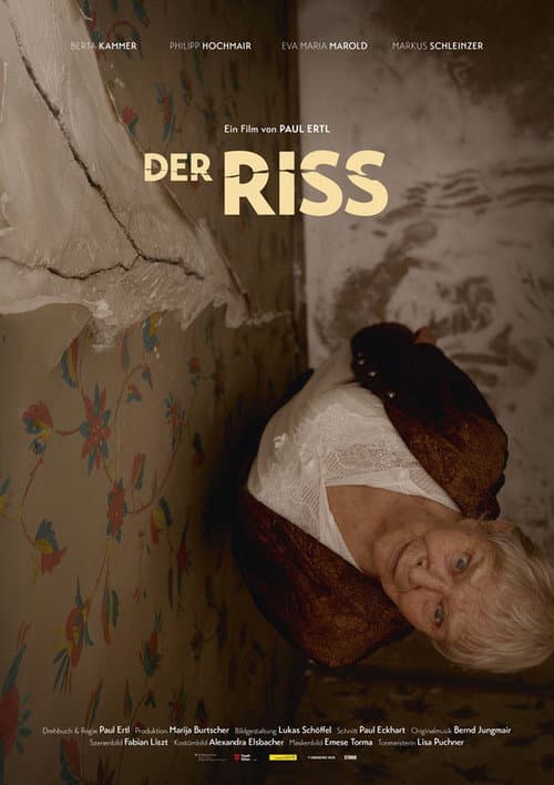 Постер: Der Riss