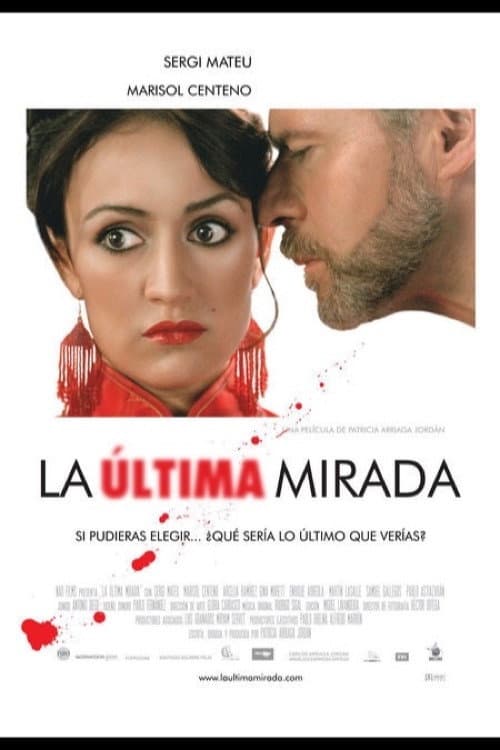 Постер: La última mirada