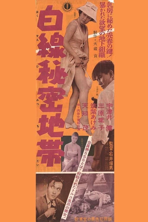 Постер: 白線秘密地帯