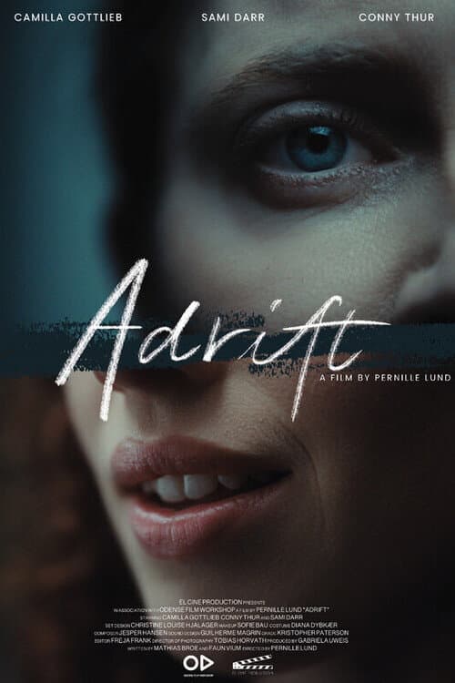 Постер: Adrift