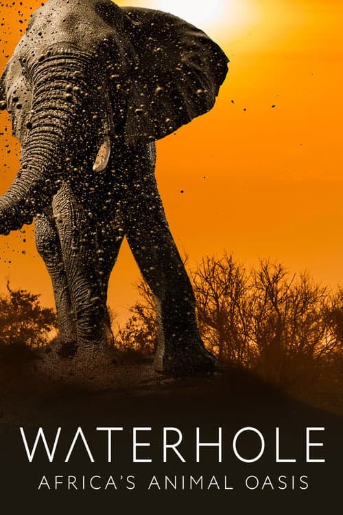 Постер: Waterhole: Africa's Animal Oasis