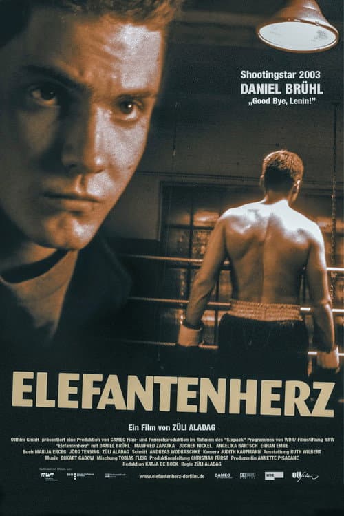 Постер: Elefantenherz