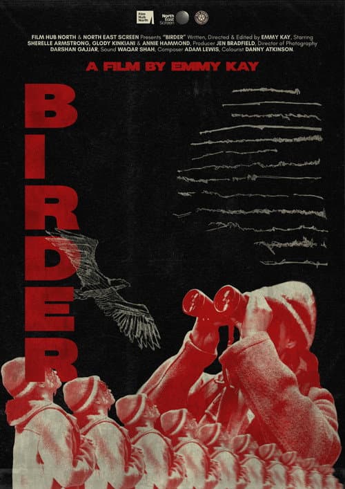 Постер: Birder