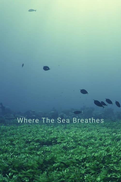 Постер: Where The Sea Breathes