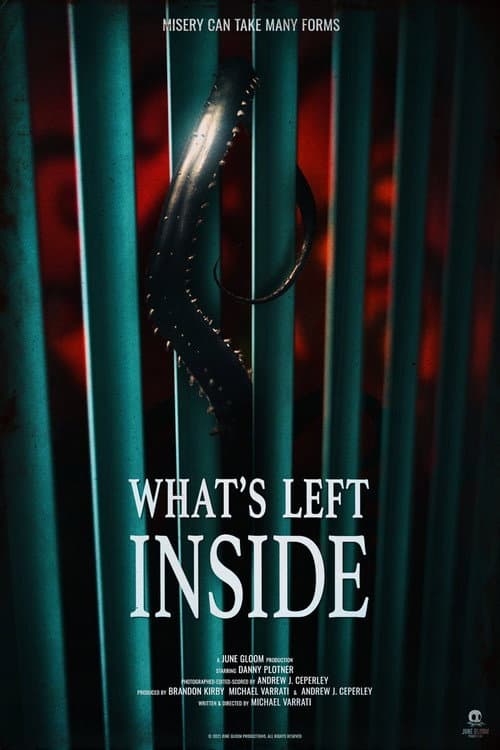 Постер: What's Left Inside