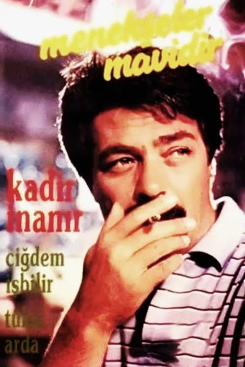 Постер: Menekşeler Mavidir