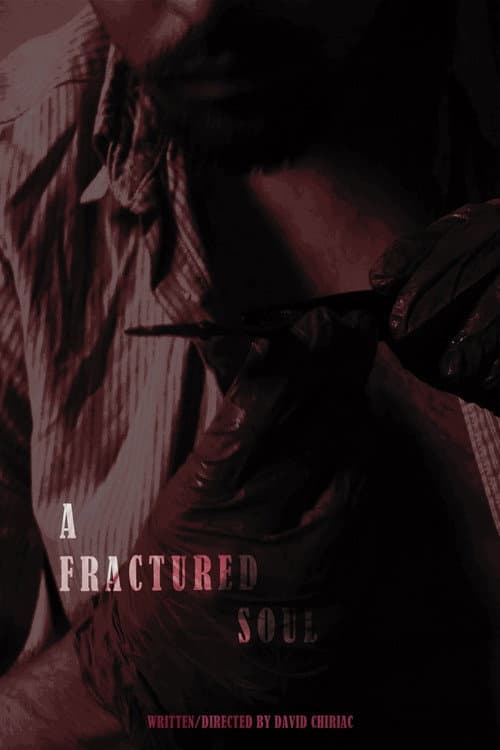 Постер: A Fractured Soul