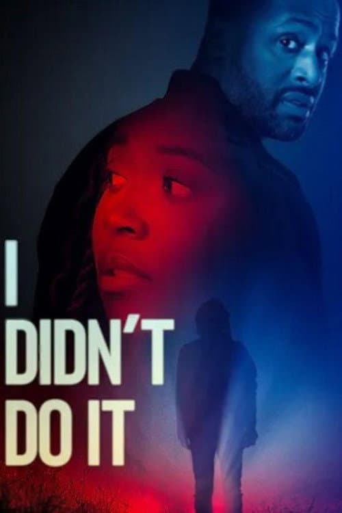 Постер: I Didn't Do It