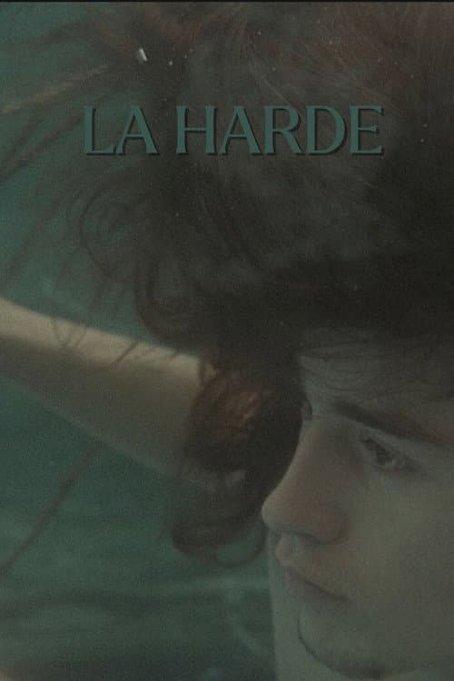 Постер: La harde
