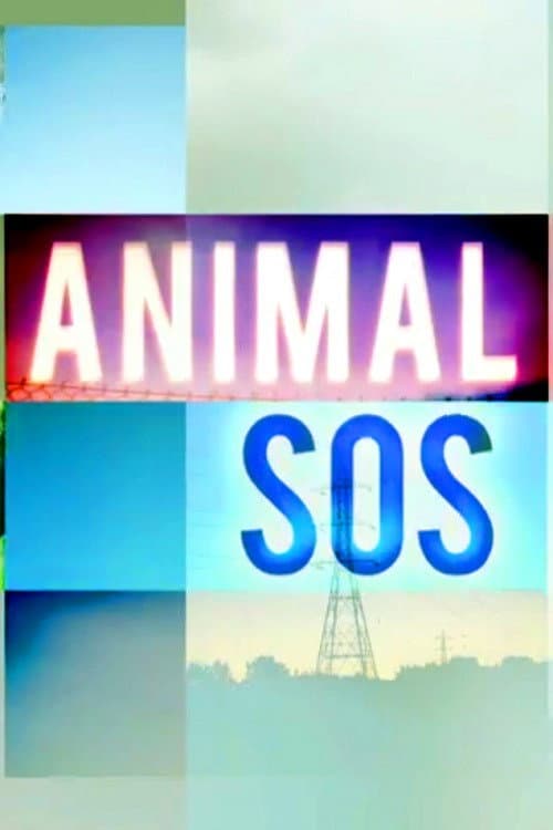 Постер: Animal SOS
