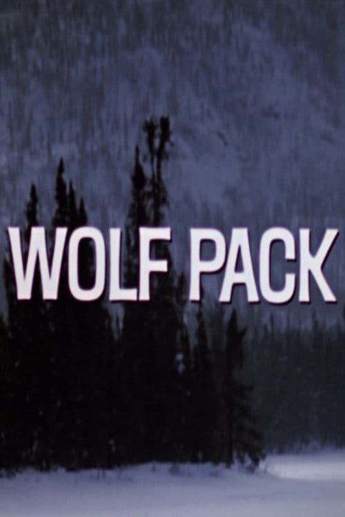 Постер: Wolf Pack