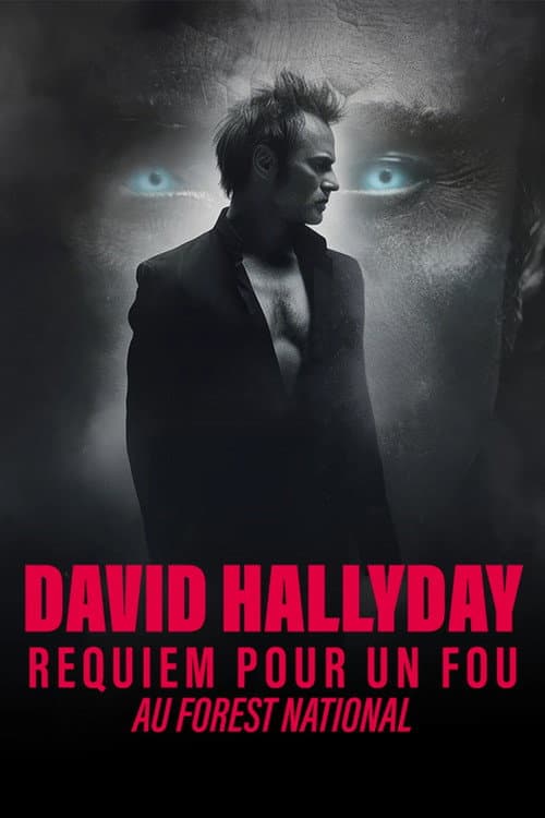 Постер: David Hallyday, Requiem pour un fou, au Forest National