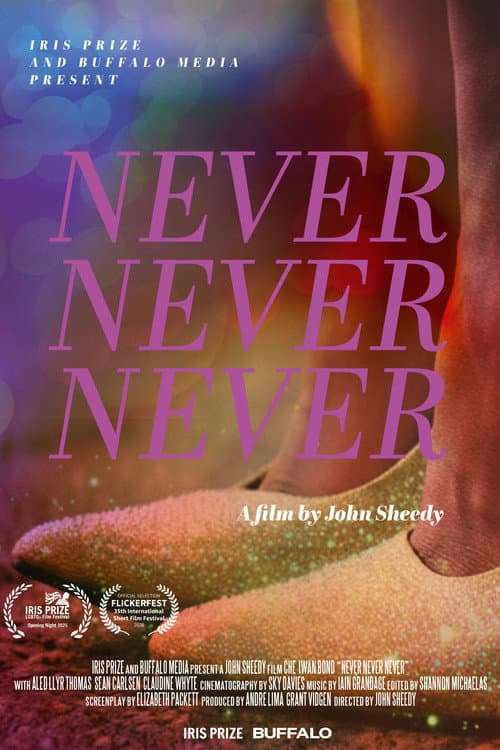 Постер: Never Never Never