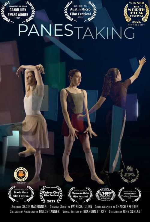 Постер: Panes Taking