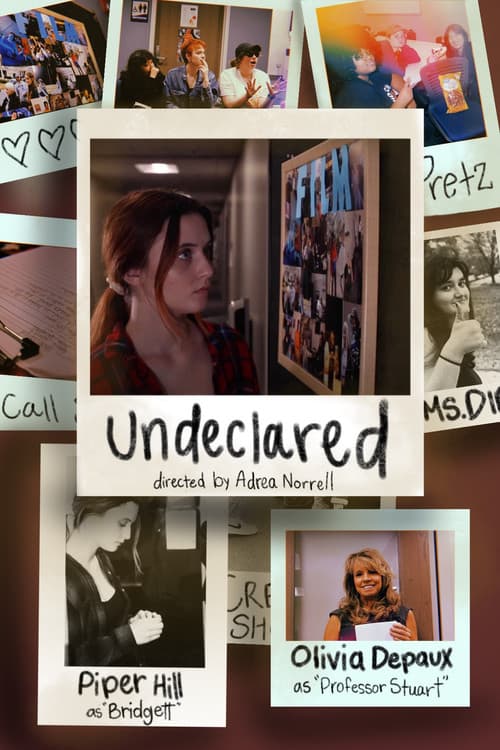 Постер: Undeclared