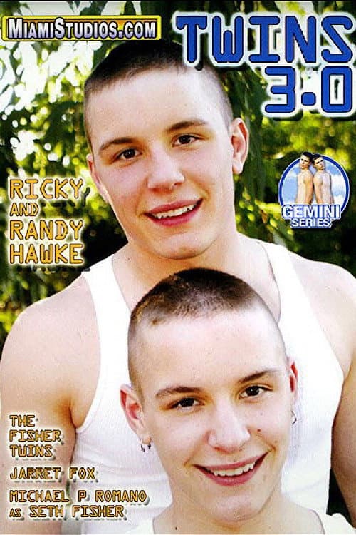 Постер: Twins 3.0
