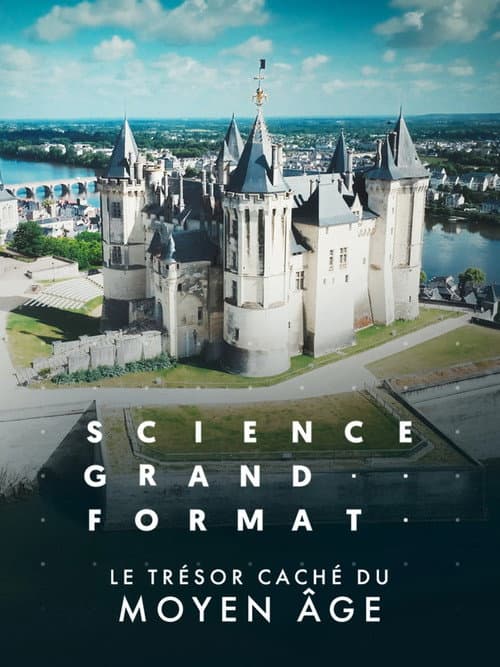 Постер: Le trésor caché du Moyen Age