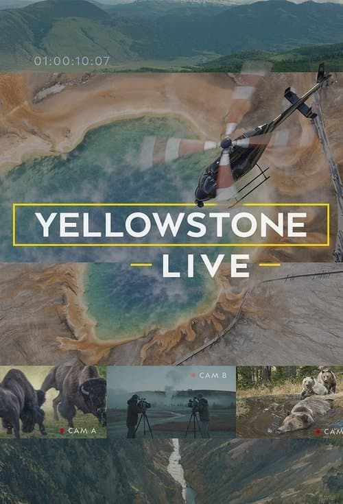 Постер: Yellowstone Live