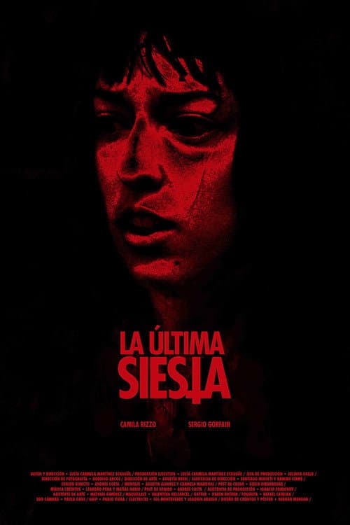 Постер: La última siesta