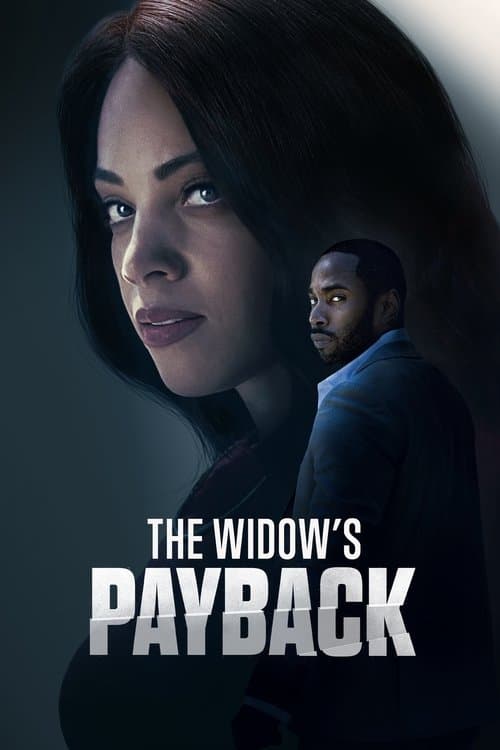 Постер: The Widow's Payback