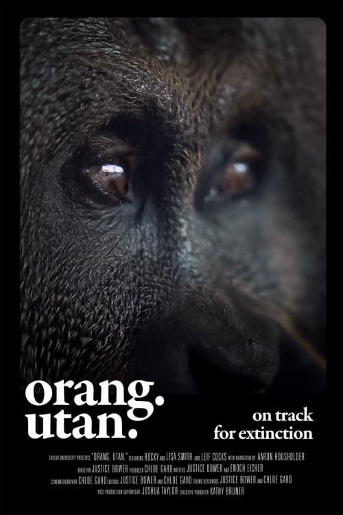 Постер: Orang. Utan.