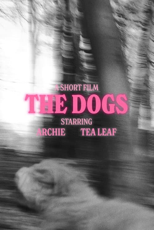 Постер: The Dogs