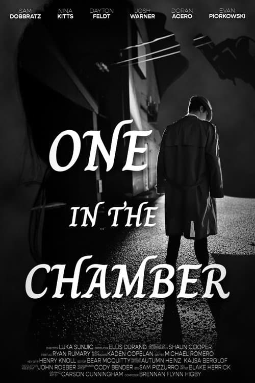Постер: One In The Chamber