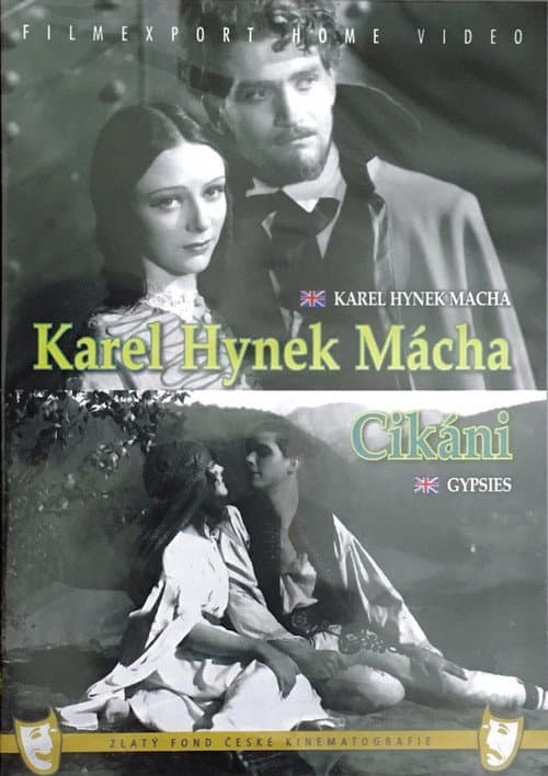 Постер: Cikáni