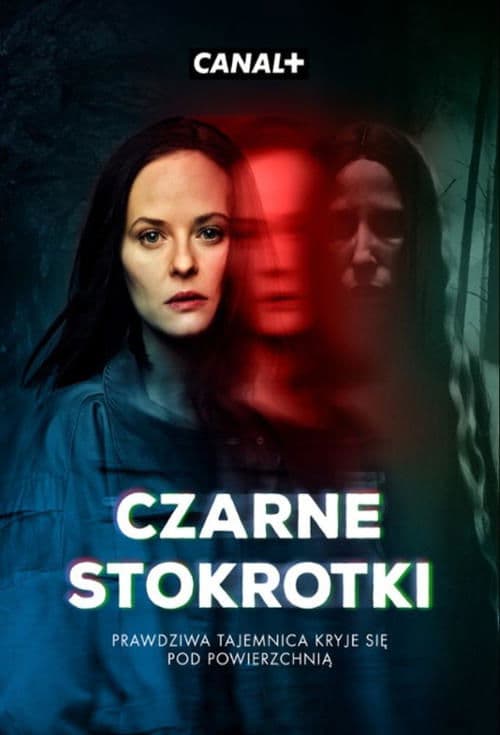 Постер: Czarne Stokrotki