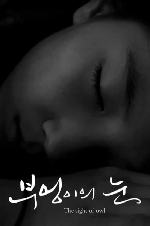 Постер: 부엉이의 눈