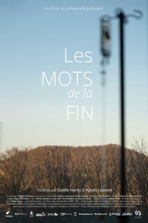 Постер: Les mots de la fin