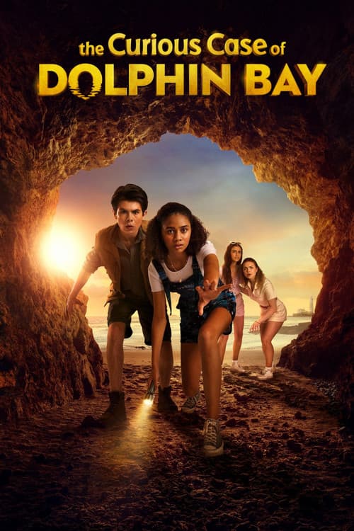 Постер: The Curious Case of Dolphin Bay
