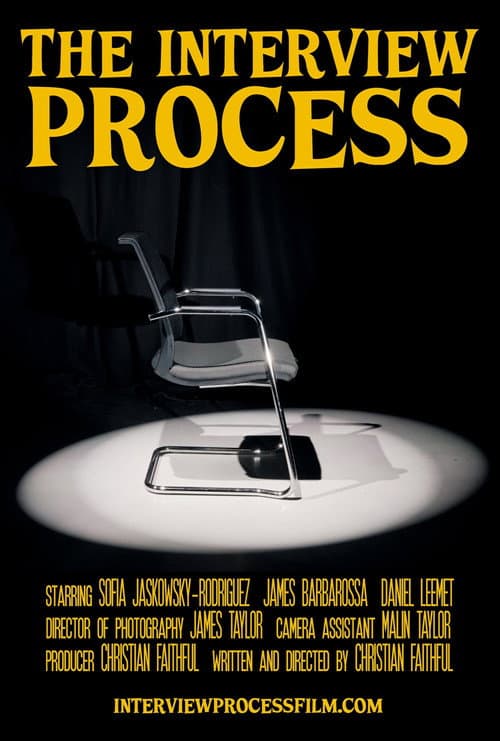 Постер: The Interview Process