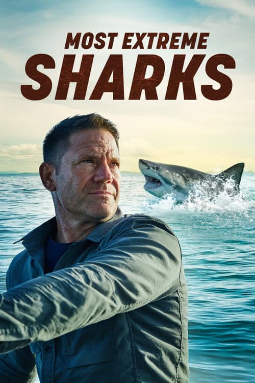 Постер: Most Extreme Sharks