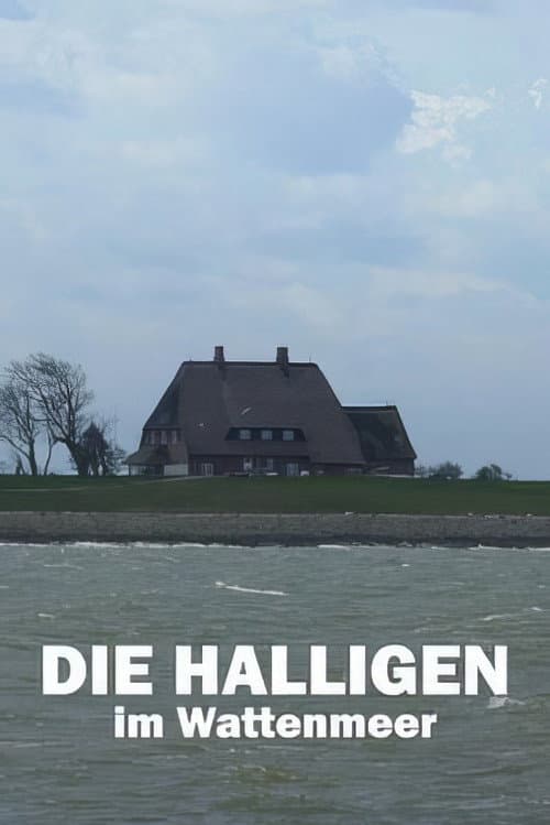 Постер: Die Halligen im Wattenmeer