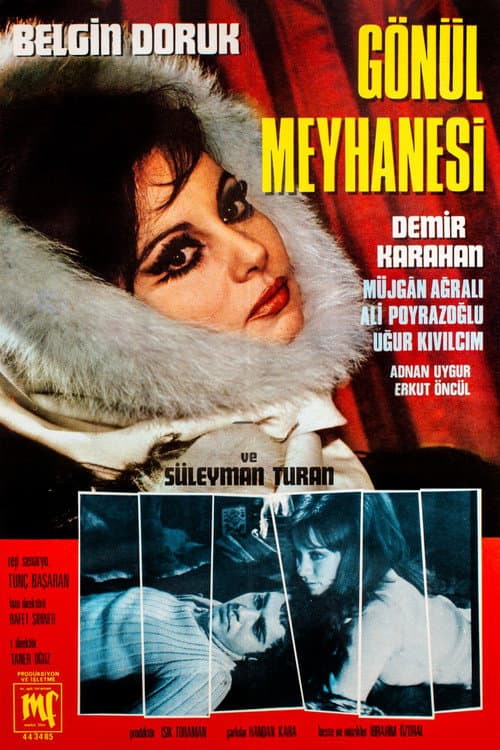 Постер: Gönül Meyhanesi