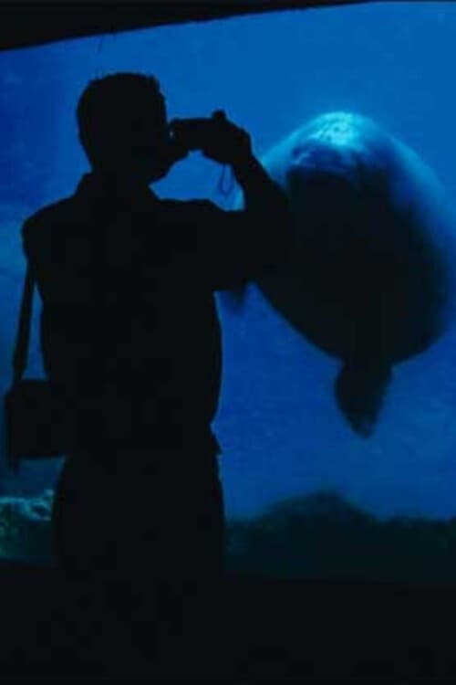 Постер: The Aquarium