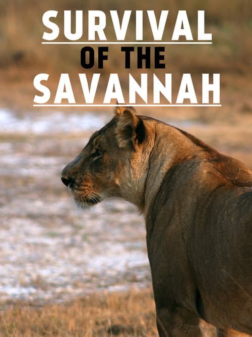 Постер: Survival on the Savannah