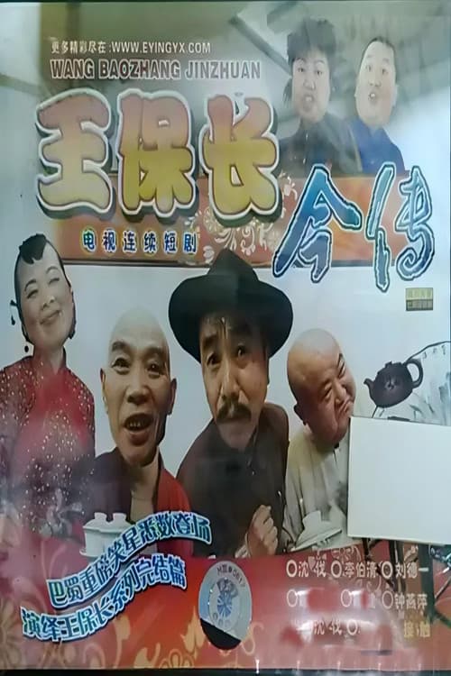 Постер: 王保长今传