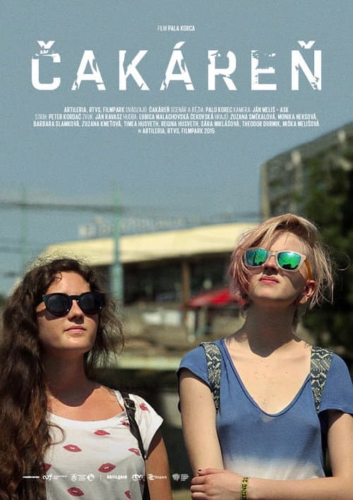 Постер: Čakáreň