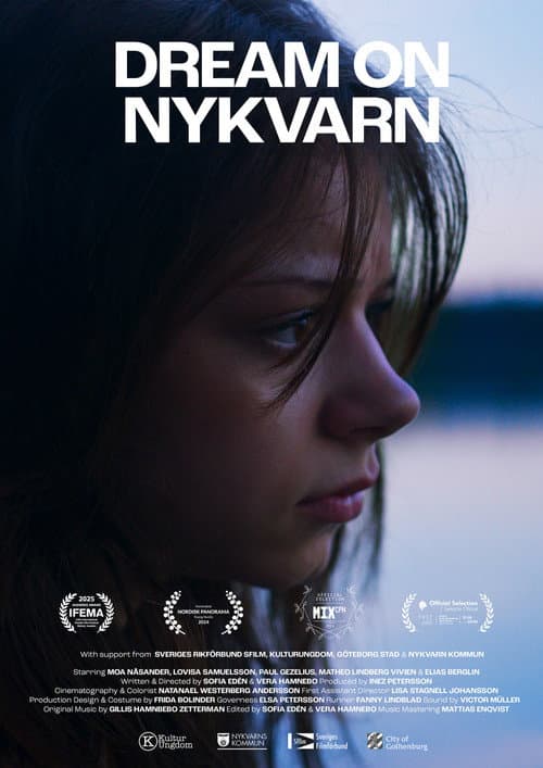 Постер: Dream on Nykvarn