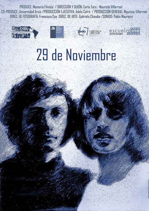 Постер: 29 de Noviembre
