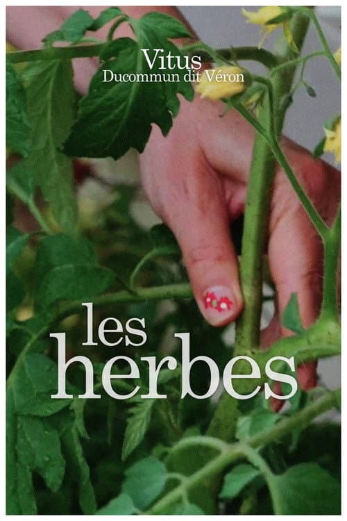 Постер: Les herbes
