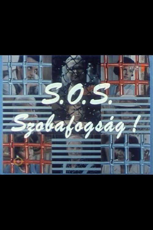 Постер: S.O.S. Szobafogság!
